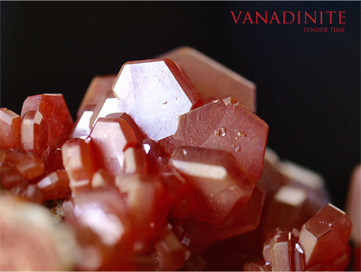 バナジン鉛鉱 バナディナイト Vanadinite – TENDER TIME