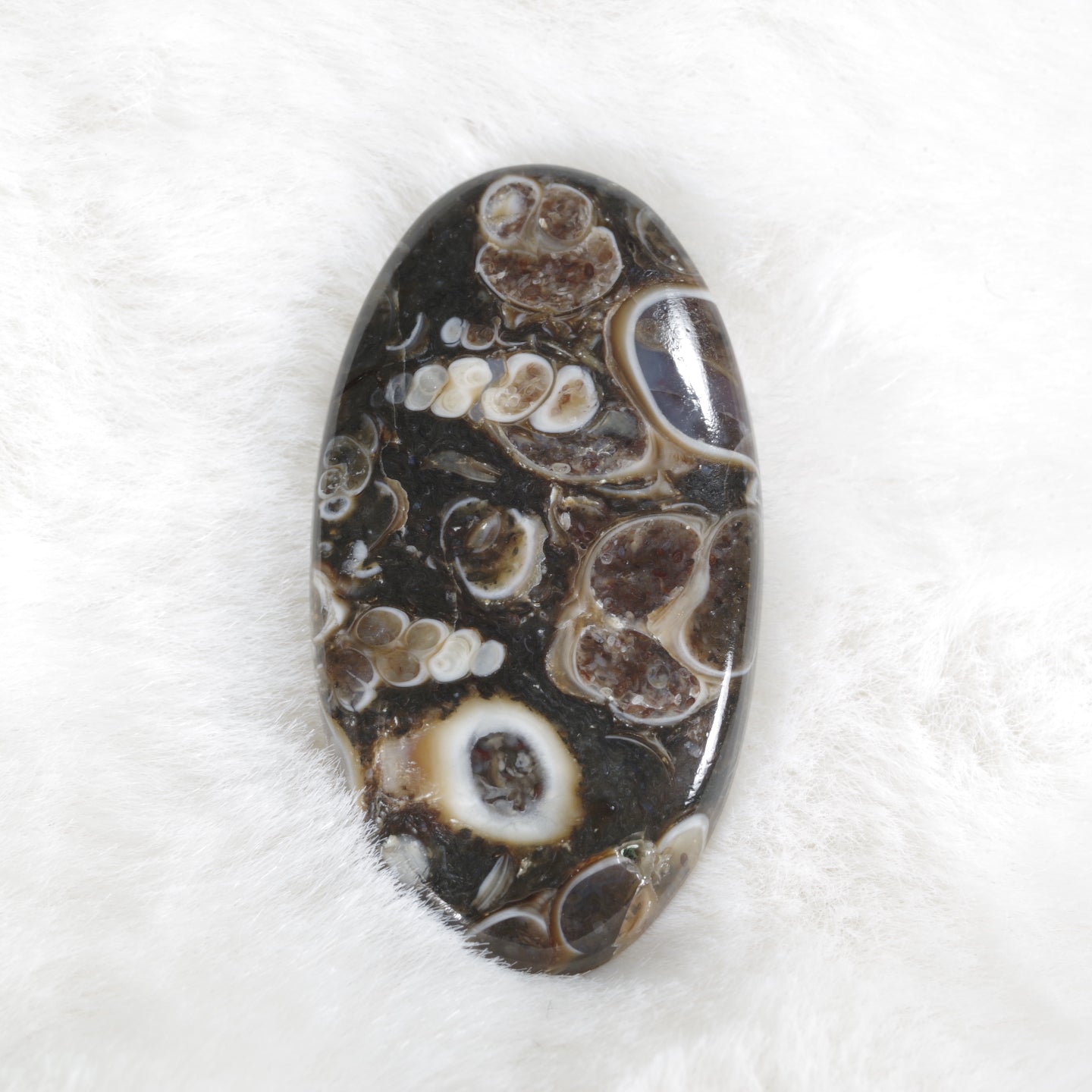 ツリテラアゲート オーバルルース モロッコ産 Turritella Agate