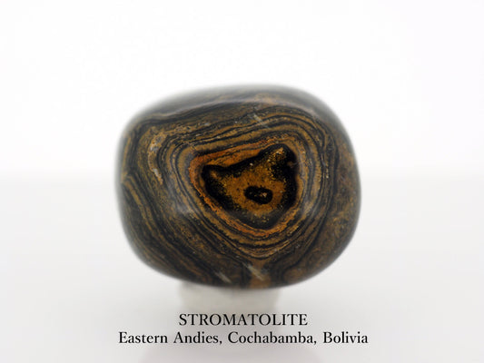 ストロマトライト Stromatolite