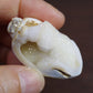 水晶化した巻き貝の化石5 インド産 Crystallized Conch India 写真現物 動画あり