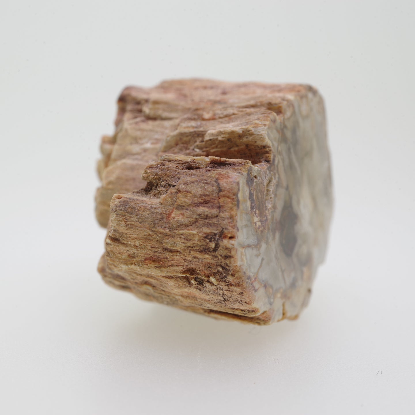 ペトリファイウッド 珪化木4 木化石 マダガスカル産 Petrifiedwood
