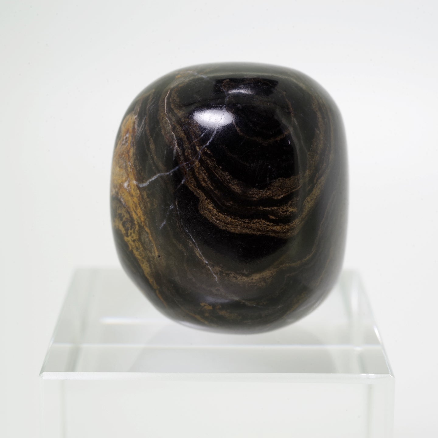 ストロマトライト2 ボリビア産  Stromatolite Bolivia 写真現物 動画あり