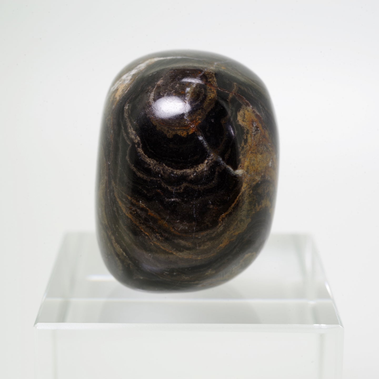 ストロマトライト2 ボリビア産  Stromatolite Bolivia 写真現物 動画あり