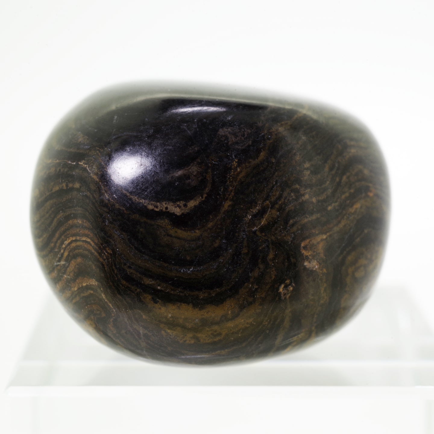 ストロマトライト3 ボリビア産  Stromatolite Bolivia 写真現物 動画あり