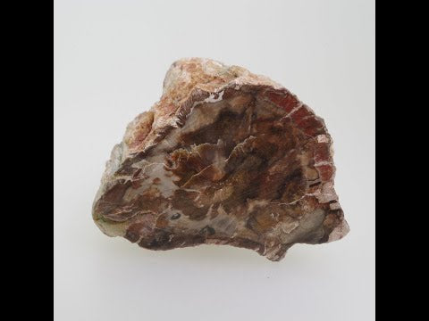 ペトリファイウッド 珪化木2 木化石 マダガスカル産  Petrifiedwood Madagascar 写真現物 動画あり
