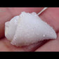 水晶化した巻き貝の化石1 インド産 Crystallized Conch India