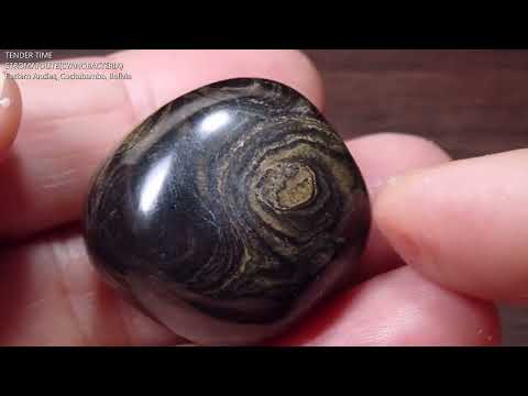 ストロマトライト3 ボリビア産  Stromatolite Bolivia 写真現物 動画あり