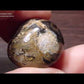 ストロマトライト5 ボリビア産  Stromatolite Bolivia 写真現物 動画あり