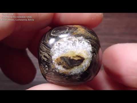 ストロマトライト1 ボリビア産  Stromatolite Bolivia 写真現物 動画あり