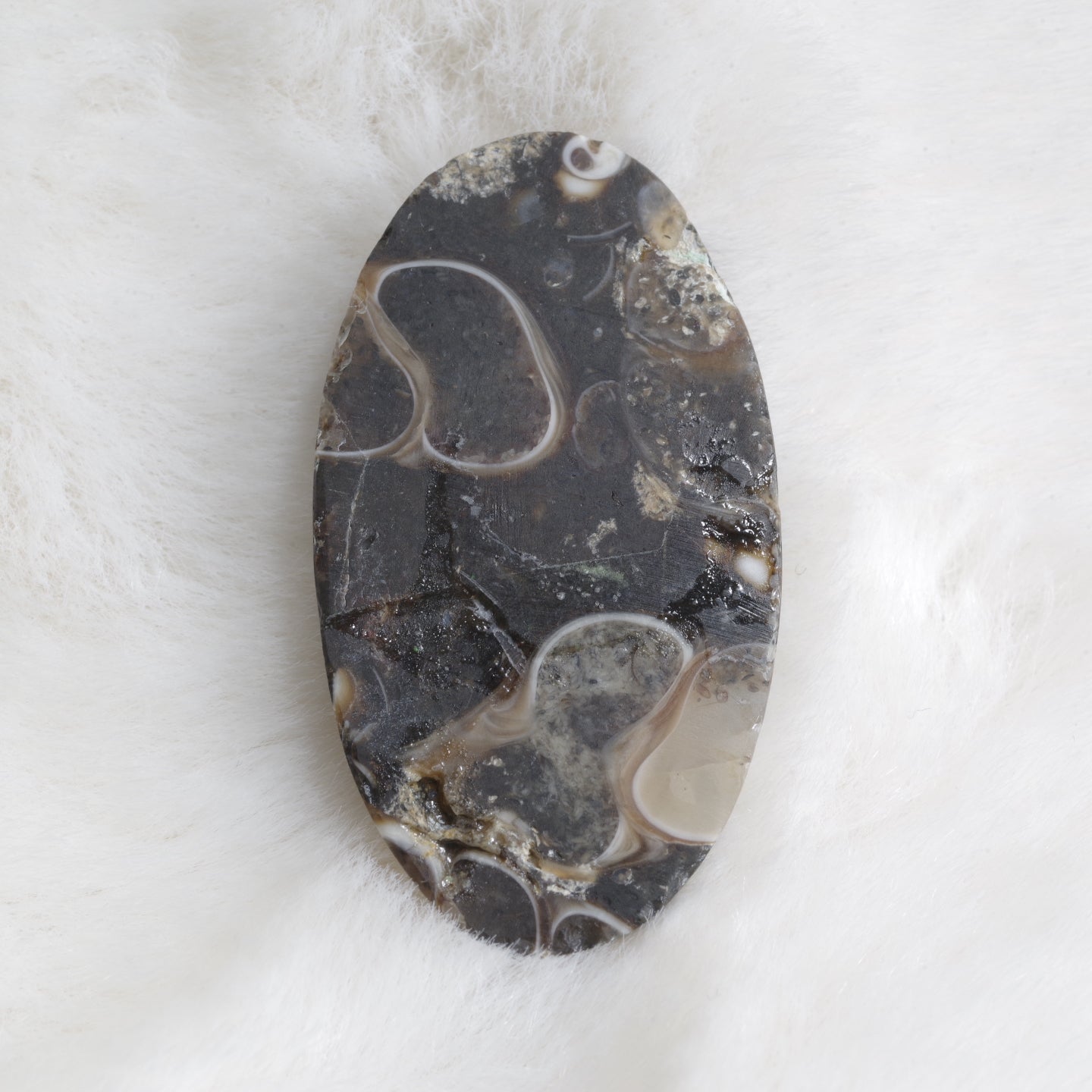 ツリテラアゲート オーバルルース モロッコ産 Turritella Agate