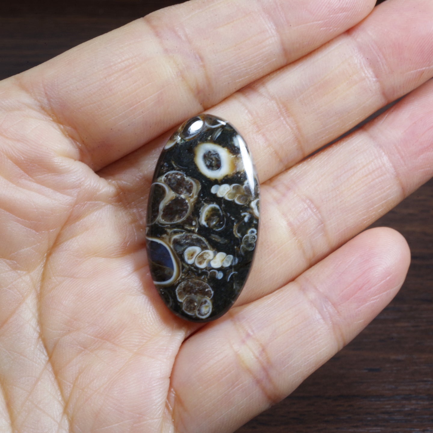 ツリテラアゲート オーバルルース モロッコ産 Turritella Agate