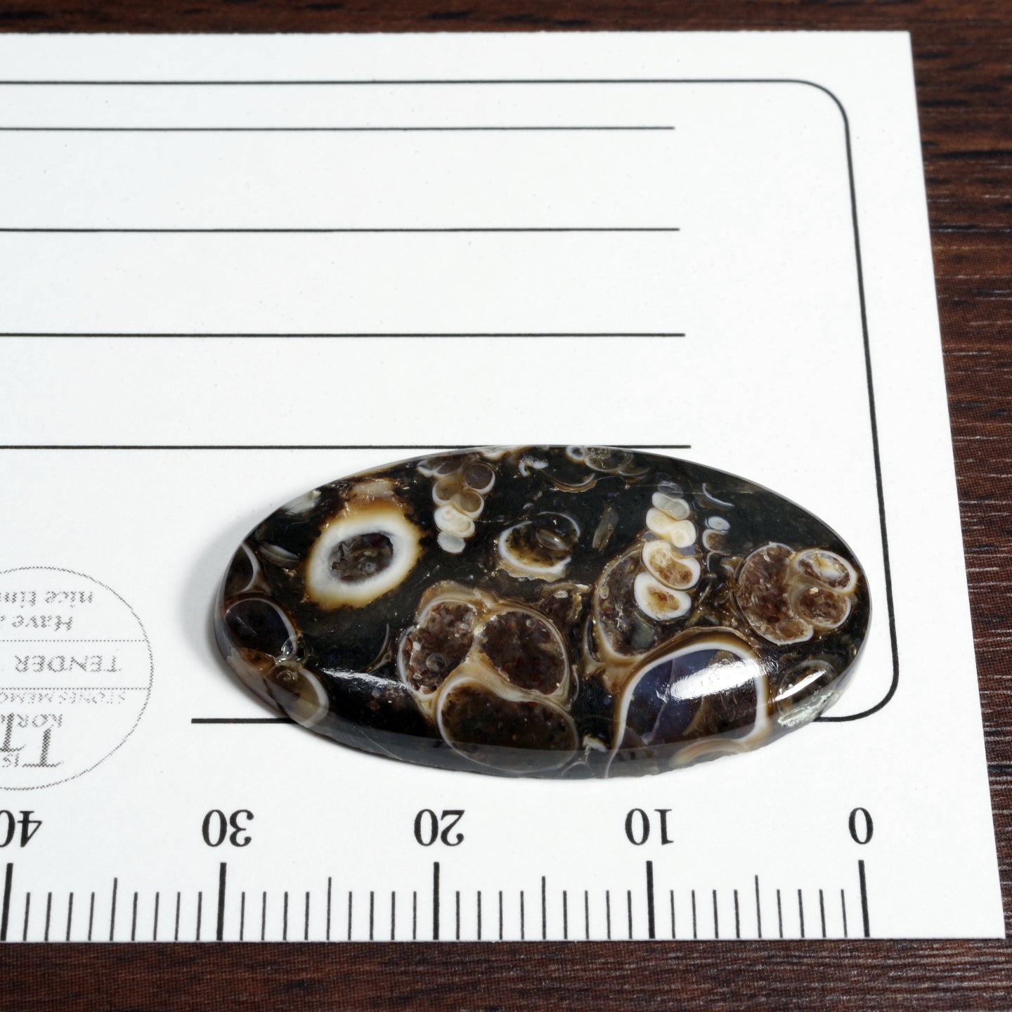 ツリテラアゲート オーバルルース モロッコ産 Turritella Agate