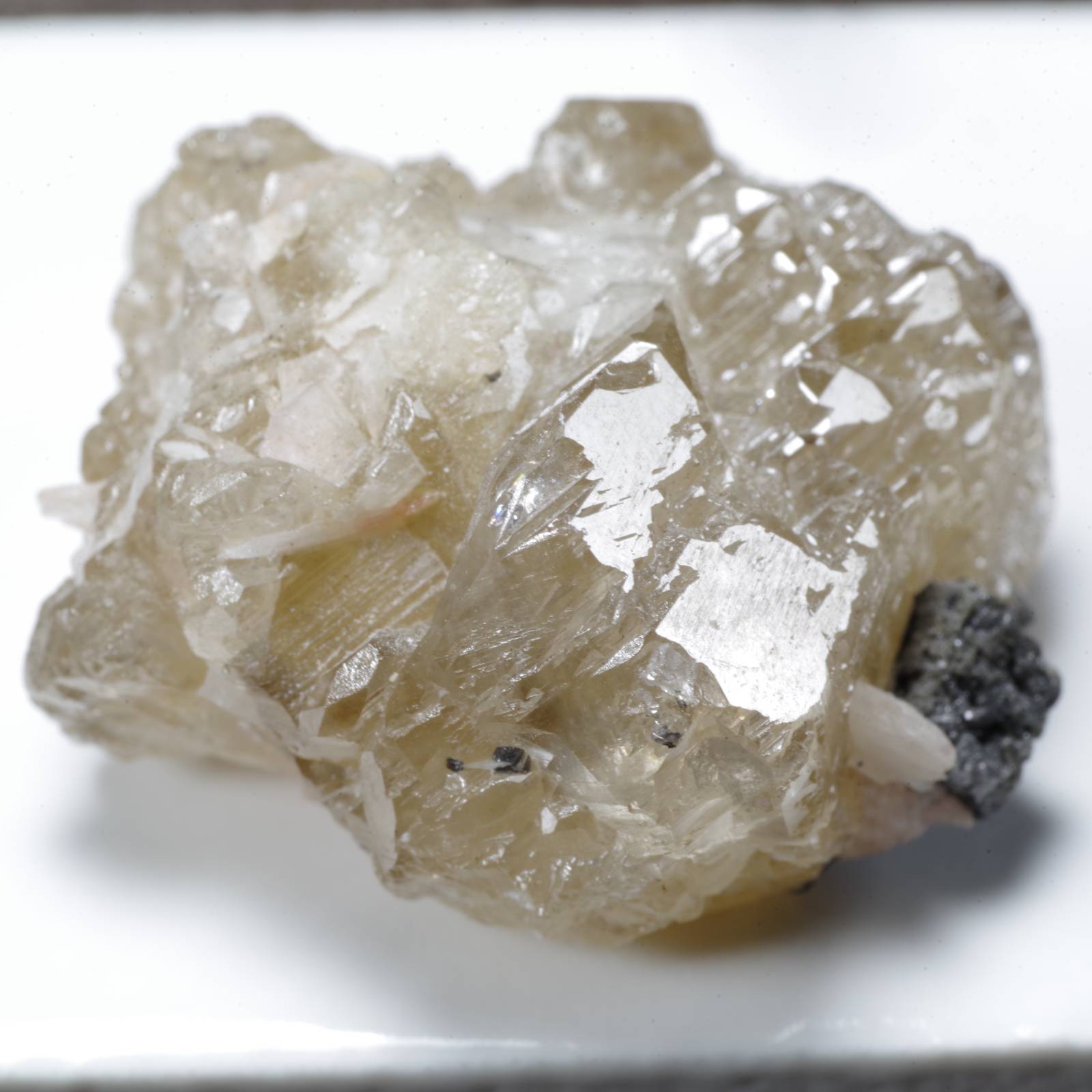 セルサイト 白鉛鉱 モロッコ産 CERUSSITE Morocco 原石 写真現物 動画